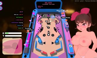 Promiscuous Pinball DX cover
