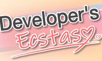 Developer Ecstasy cover