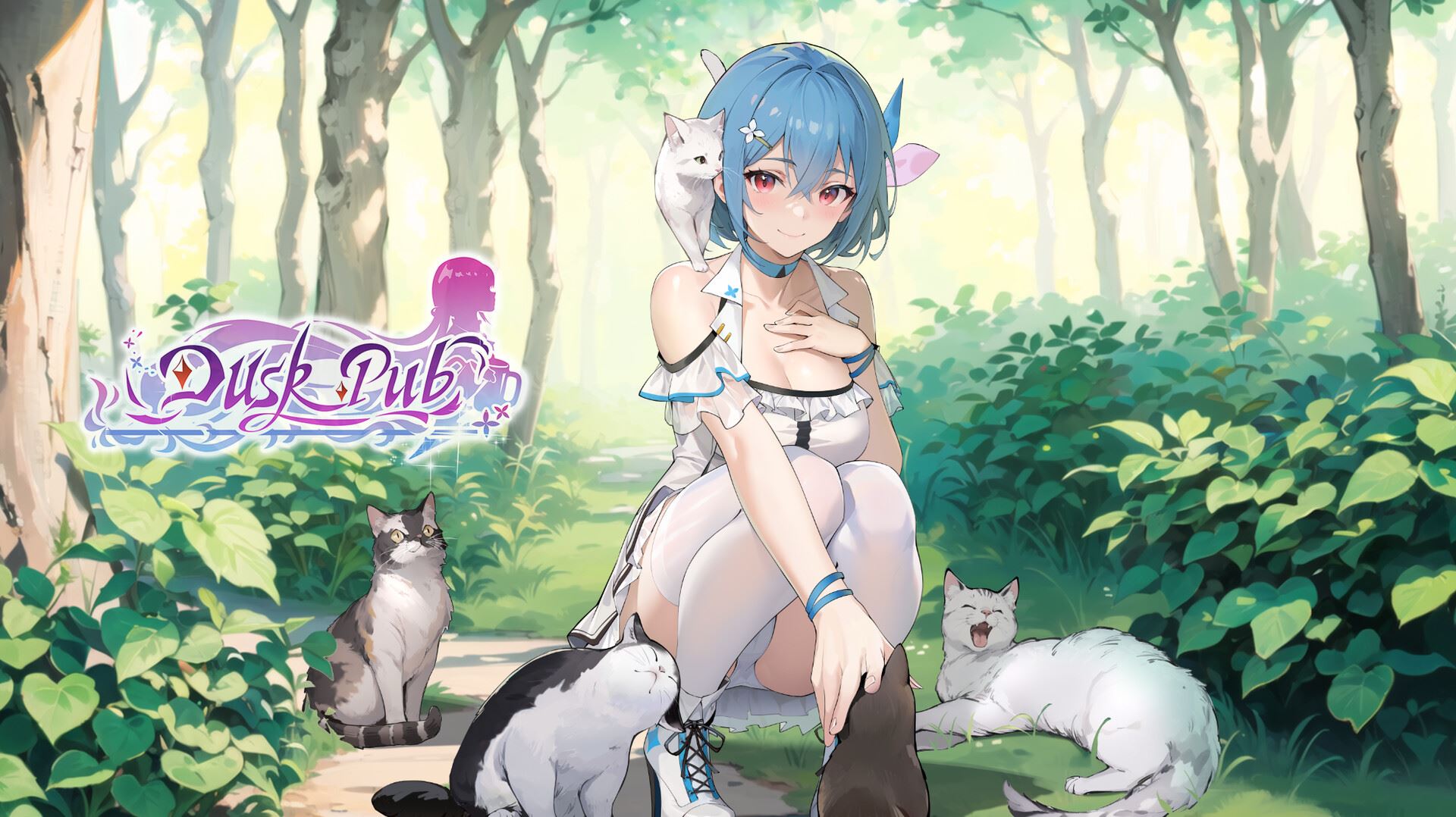 Dusk Pub cover
