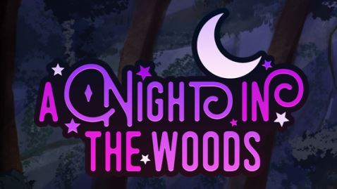 A Night in the Woods cover