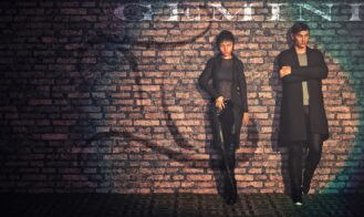 Gemini cover