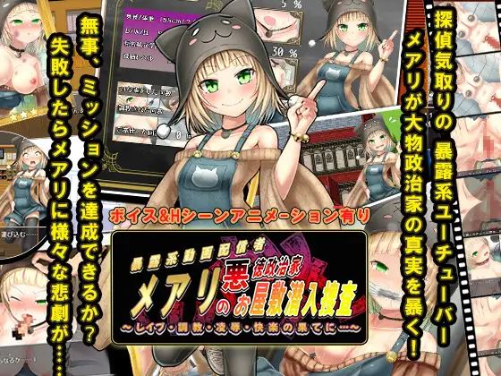 Mary’s Undercover Investigation of the Mansion of an Unscrupulous Politician cover