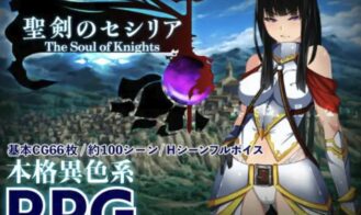 Holy Sword Cecilia ～The Soul of Knights cover