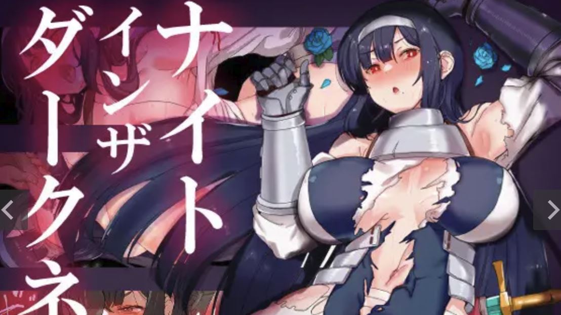Knight in the Darkness ~The Twilight Kingdom's Lady Knight, Reisha~ cover