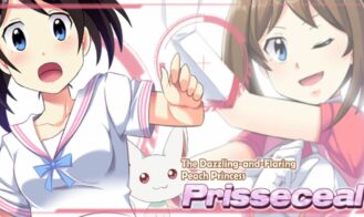 Prisseceal, the Dazzling-and-Flaring Peach Princess cover