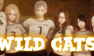 Wild Cats cover