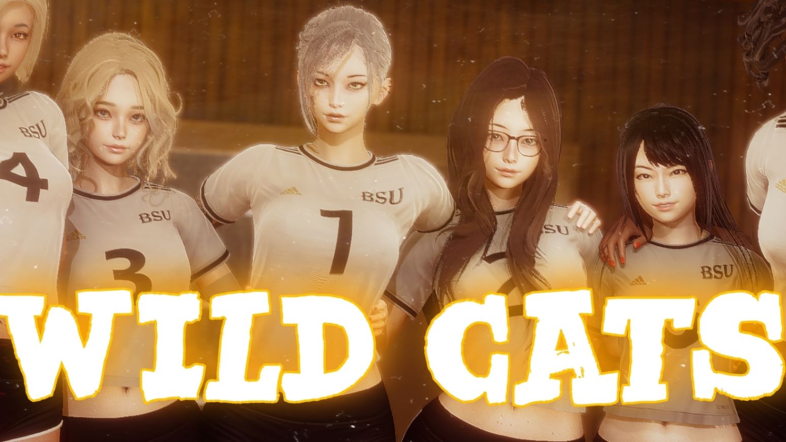 Wild Cats cover
