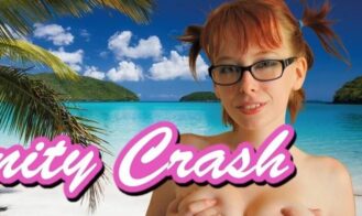 Virginity Crash cover