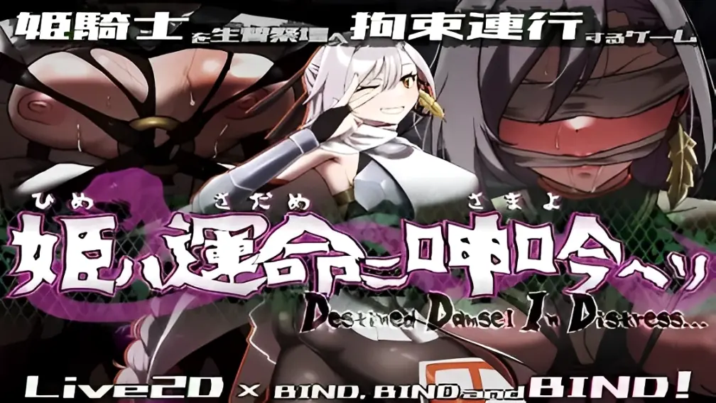 Destined Damsel In Distress cover