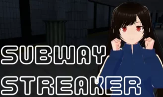 Subway Streaker cover