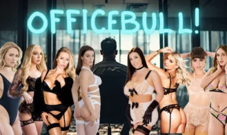 OfficeBull! cover