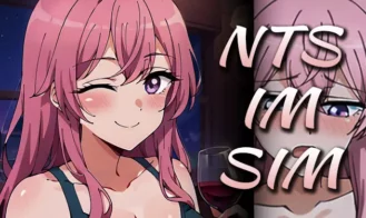 NTS-IM-SIM cover