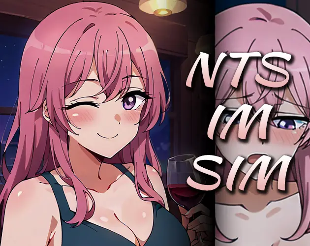 NTS-IM-SIM cover