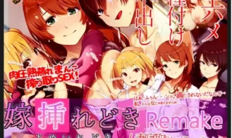 Bride insertion time Remake cover