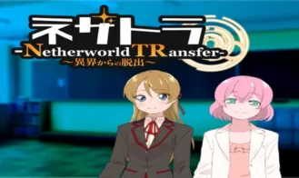 Netherworld TRansfer cover