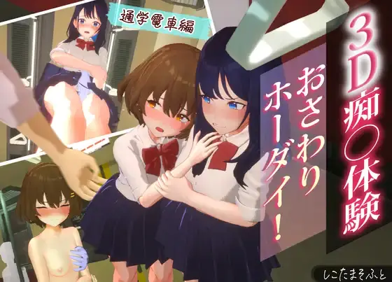 3D Molester Experience: Touching Unlimited! School Train Edition cover