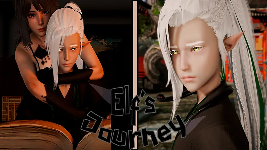 Elf's Journey cover