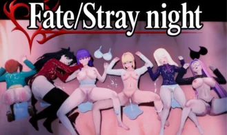 Fate/Stray Night cover