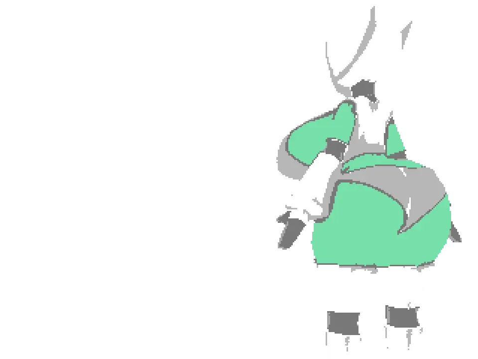 IBA cover