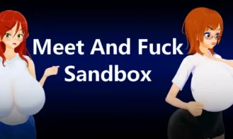 Meet and Fuck Sandbox cover