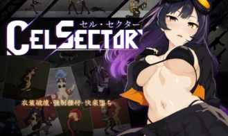 CelSector cover