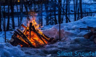 Silent Snowfall cover