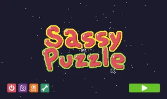 Sassy Puzzle cover