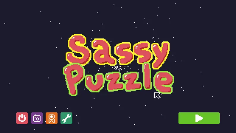 Sassy Puzzle cover