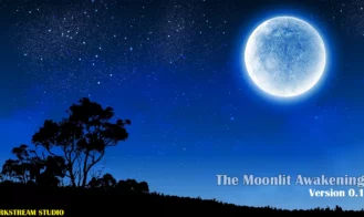 The Moonlit Awakening cover