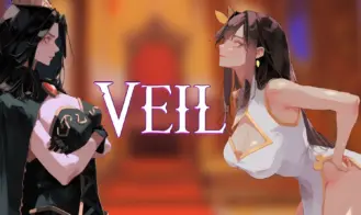 Veil cover