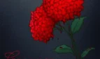 Crimson Hydrangea
